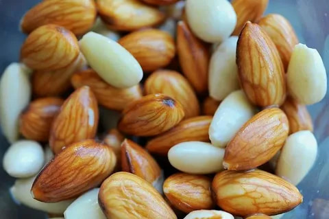 تصویر 1 از خرید جدید ترین انواع بادام درختی گرمسیری